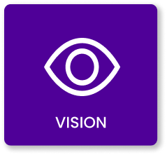 vision